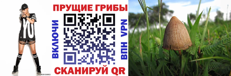 Галлюциногенные грибы GOLDEN TEACHER  hydra зеркало  даркнет формула  Звенигово 